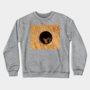 George the mouse in a log pile House mouse in hole Crewneck Sweatshirt